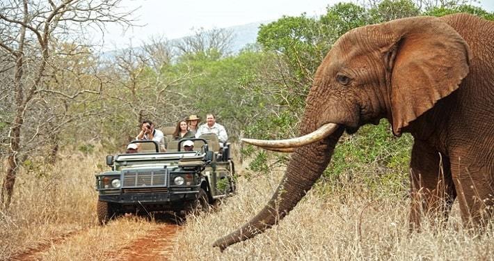 African safari tours
